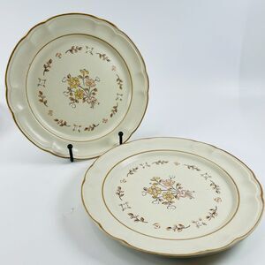 Cordella Collection Burnet Salad Dessert Plates Set of 2 Stoneware WITH FLAWS